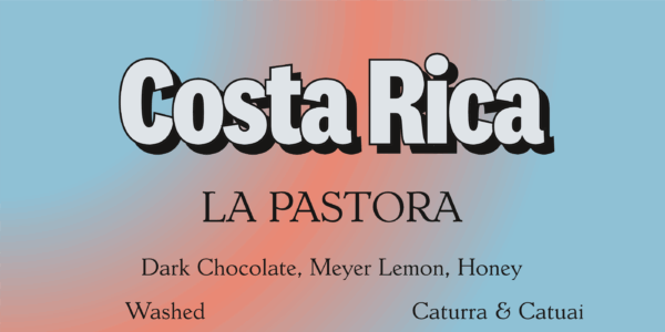 Costa Rica La Pastora<br>12 oz.