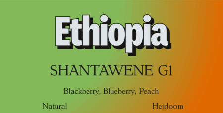 Ethiopia Shantawene G1<br>12 oz.