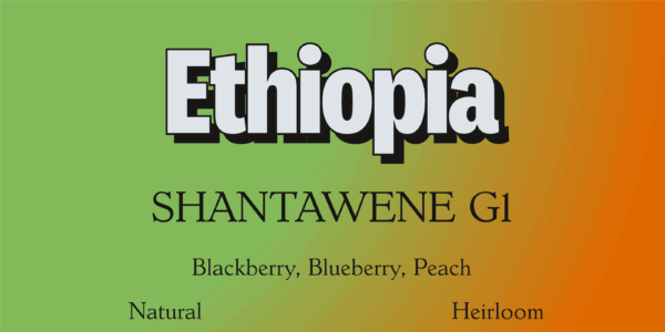 Ethiopia Shantawene G1<br>12 oz.