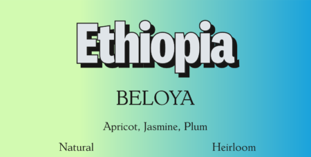 Ethiopia Beloya<br>12 oz.