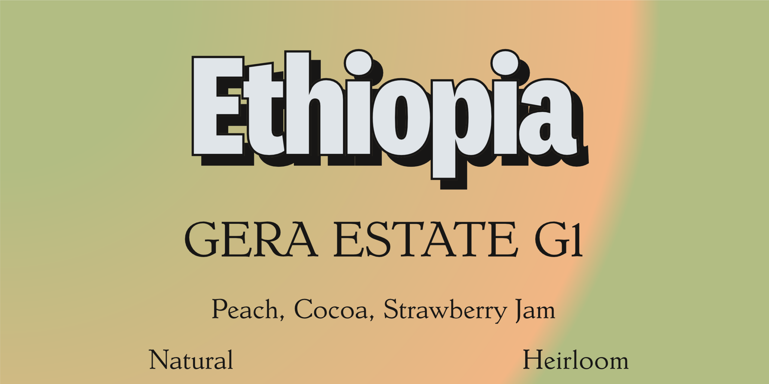 Ethiopia Gera Estate G1