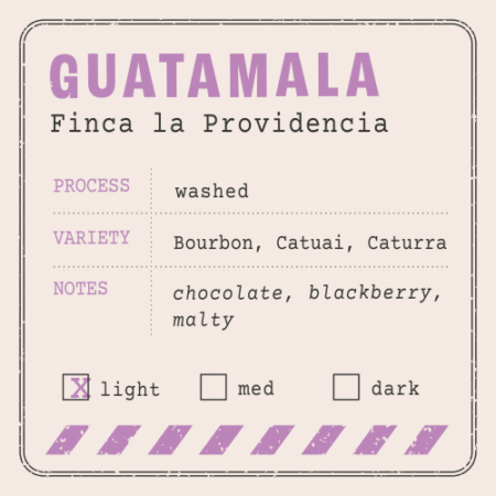 Guatemala Finca La Providencia