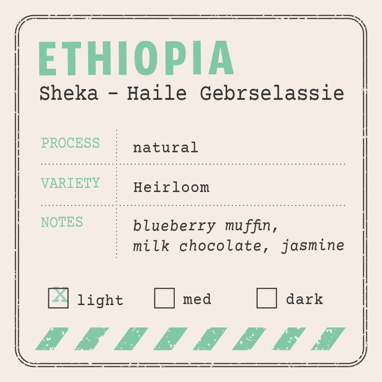 Ethiopia Sheka – Haile Gebrselassie