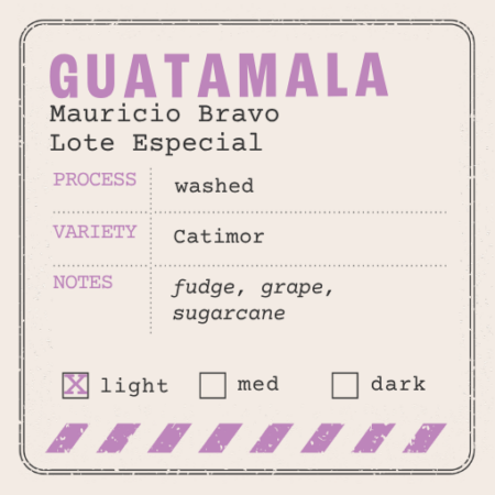 Guatemala Mauricio Bravo Lote Especial